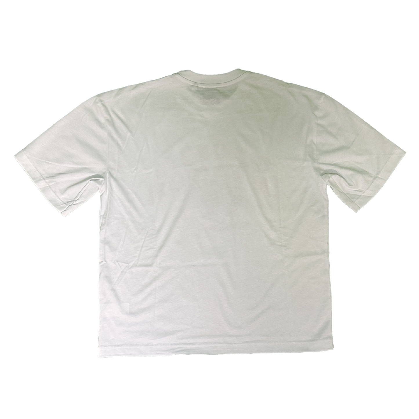 GLOBAL INVASION WHITE T-SHIRT